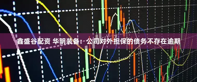 鑫盛谷配资 华明装备：公司对外担保的债务不存在逾期