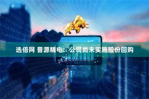 选倍网 普源精电：公司尚未实施股份回购