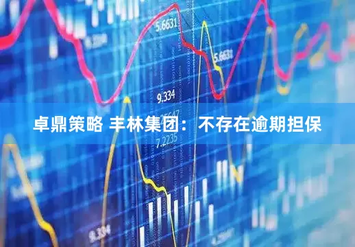 卓鼎策略 丰林集团：不存在逾期担保