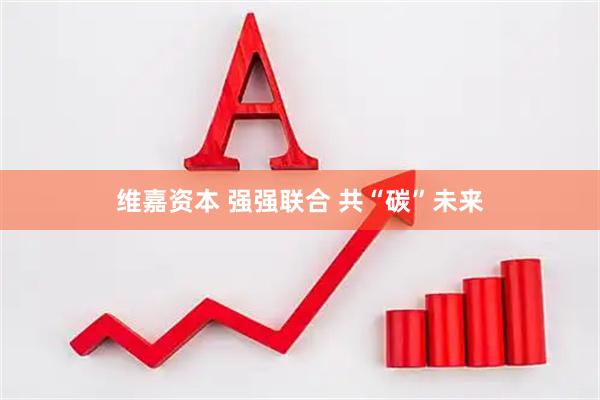 维嘉资本 强强联合 共“碳”未来