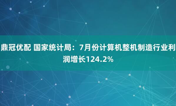 鼎冠优配 国家统计局：7月份计算机整机制造行业利润增长124.2%