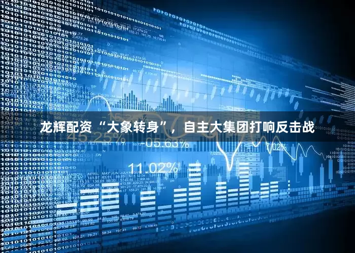 龙辉配资 “大象转身”，自主大集团打响反击战